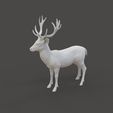 Deer_1.1.jpg Fallow Deer Sculpture