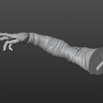 8-Right-Arm.png The Mummy