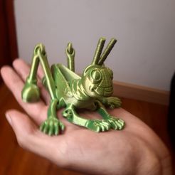 foto1.jpg Archivo STL Saltamontes flexi - no support・Objeto imprimible en 3D para descargar