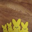 Snapchat-181791578.jpg Easter Peep Giant Bunny Cake Topper Easter basket gift Kids Peep /Personalized Bunny