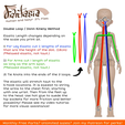 4.png [FANTASIA BJD] - Human and Satyr Fantasia Ball Jointed Doll - (For FDM and SLA Printers)