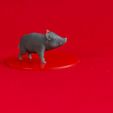 piglet-1.2.jpg Giant Boar Piglets - Tabletop Miniature (Pre-Supported)