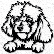 project_20230324_1417150-01.png Poodle wall decor poodle dog wall art puppy 2d art
