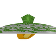 Orym-Seedling-vv.png Orym's Sentinel Shield  | By CC3D