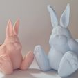 20230321_104312.jpg STL-Datei Osterhase・3D-druckbare Vorlage zum herunterladen