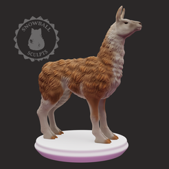 llama_supportless_colour.png Llama Supportless