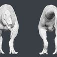 Front-back.jpg Albertosaurus OBJ
