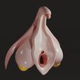 clitoris0002.jpg Clitoris Anatomy - Aroused Clitoris