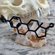 IMG_5319.jpeg Estradiol Molecule Necklace