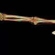 ps1.jpg Upper limb arteries axilla arm forearm 3D model