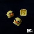 Untitled-472.jpg Duck Keycap
