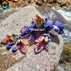 6.png Flutterphin, Cinderwing3d, Feenflatter-Gliederdelfin