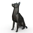 1.jpg STL file Belgian Malinois dog・3D print design to download