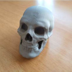 featured_preview_skull1.jpg Archivo STL Calavera・Plan de impresión en 3D para descargar