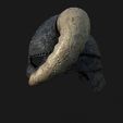 Casco_Skyrim-3.jpg Шлем Скайрима