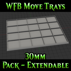 Miniature.png WFB  - Move Tray Pack - 30mm Infantry