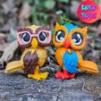 1.jpg CUTE FELXY OWL BIRD FEMALE AND MALE (TWO VERSION)