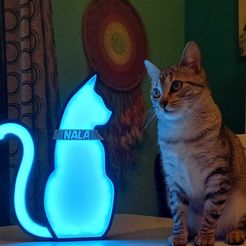 WhatsApp Image 2020-12-28 at 22.14.42.jpeg Cat silhouette LED lamp