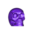Skull 002.stl Skull 002 - Decoration - STL File