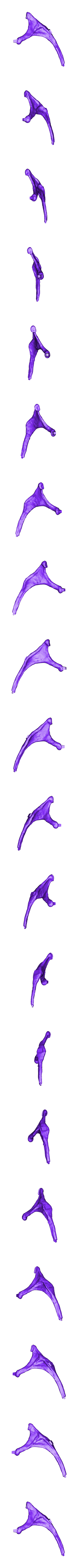Rib_Left_04_Part01.OBJ Scheletro di piccolo T-rex a grandezza naturale - Parte 04/10