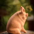 Capture d’écran 2017-02-24 à 16.41.37.png Archivo STL gratis Cerdo de jardín・Modelo imprimible en 3D para descargar