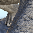75.png Diplodocus dinosaur (19) - High detailed Prehistoric animal HD Paleoart