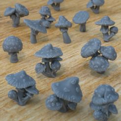 Spotted-Mushrooms.jpg Fichier STL 10 CHAMPIGNONS TACHETÉS POUR ENVIRONNEMENT DIORAMA TABLETOP 1/35 1/24・Design pour imprimante 3D à télécharger
