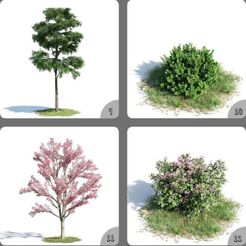 VyLeNFB1.jpeg Archivo 3D Flor De Melocotón Y Planta En Maceta Decoración Del Hogar Modelo 3D 9-12・Objeto imprimible en 3D para descargar