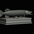 northern-pike-statue-box-1-2-1-29.png fish NORTHERN PIKE (ESOX LUCIUS) open mouth with storage space / for 3d printing