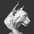 09.png Lynx head AM18 3D print model