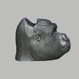 Gorilla-head-Ps5-controller-stand,-Monkey-head-ps5controller-holder,-Gorilla-bust-ps5-controller-Sta.jpg Gorilla head Ps5 controller stand, Monkey head ps5controller holder, Gorilla bust ps5 controller Stand, Perfect Gamer Gift, a295 (1)