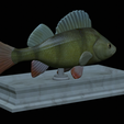 Perch-statue-12.png fish perch / Perca fluviatilis statue detailed texture for 3d printing