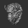 21.jpg Bison angry head