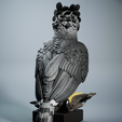Harrpy-3.png Harpy Eagle