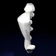 wfsub0023.jpg Fibroid Uterus Human female 3D