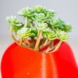 _MG_3431.jpg QBCO | POT FOR SUCCULENTS