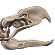 13.png Terror bird- birds terror skull in 3D