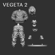 VEGETA-2.png STREET VEGETA (2 VERSIONS)
