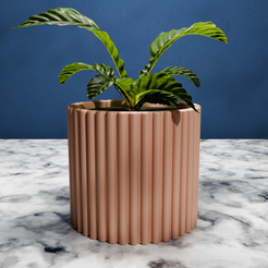 string_1.png Vase Pot Planter - String Collection (0001)