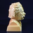Einstein2.jpg Einstein Bust 3D print with base-supported