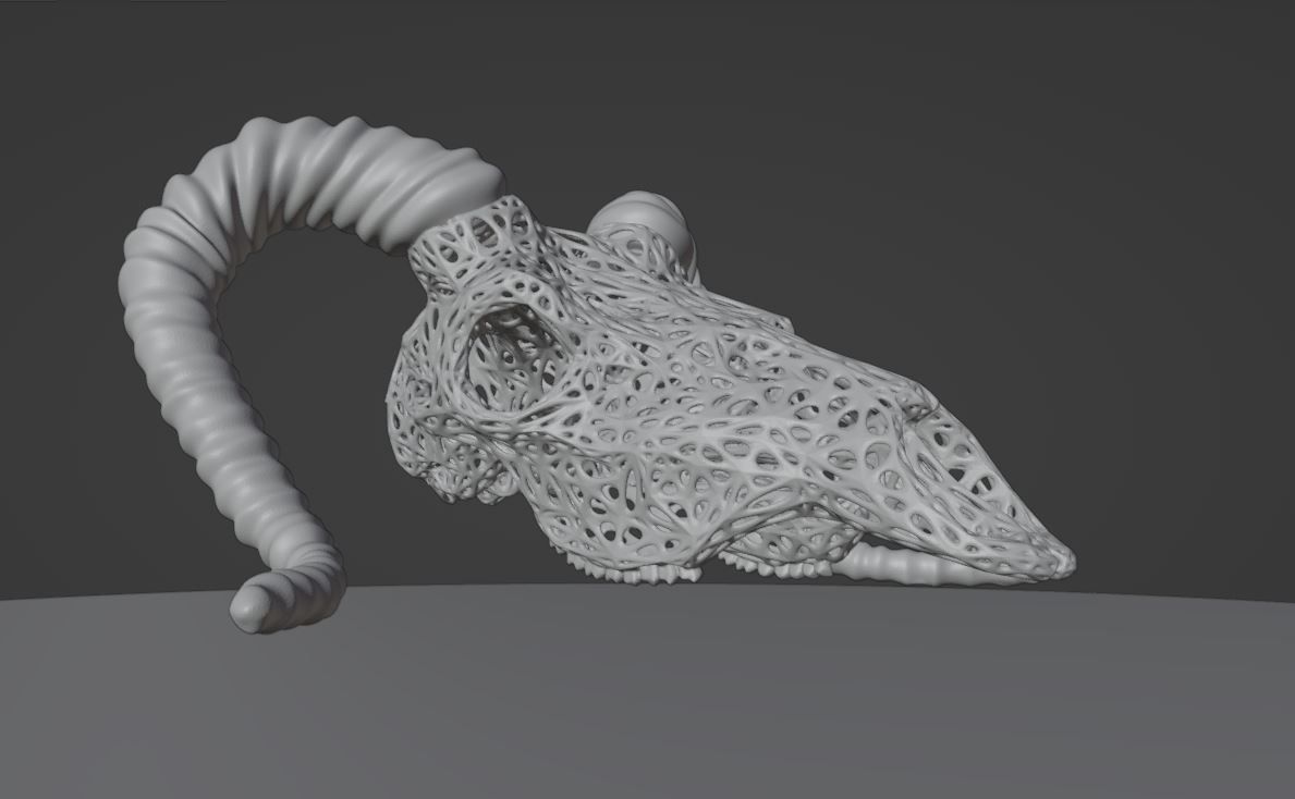Skull_07.jpg STL-Datei Filigraner Ziegen- oder Bergschaf-Schädel mit Horn・3D-druckbare Vorlage zum herunterladen, abhijitraja