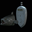 White-grouper-head-trophy-53.png fish head trophy white grouper / Epinephelus aeneus open mouth statue detailed texture for 3d printing