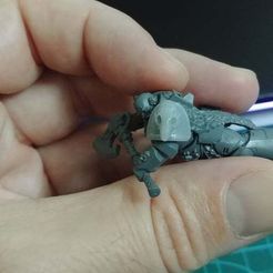 Chaudrons Crâne de loup