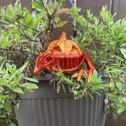 IMG_8871.jpg Archivo STL Calabaza diabólica・Diseño para descargar y imprimir en 3D