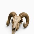 WhatsApp-Image-2026-06-12-at-13.16.30-7.jpeg 10 Skull STL Bundle | 3D Printable Skull Collection | Dragon, Human, Beast & Horned Skull Models | Instant Download