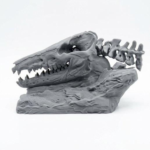 Ambulocetus Skull Bust 3D Printable Model - 1:10 Scale Walking Whale