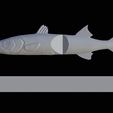 Am-bait-breaking-barracuda-13cm-4mm-eye-10.png AM bait great barracuda fish 13cm breaking form for predator fishing