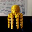 photo1.jpg Funny Flexi Octopus