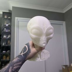 Buste alien gris B - CODE PROMO 33% DE RÉDUCTION