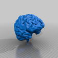 FullBrain.png Human Brain - Converted MRI Scan of Real Human Brain